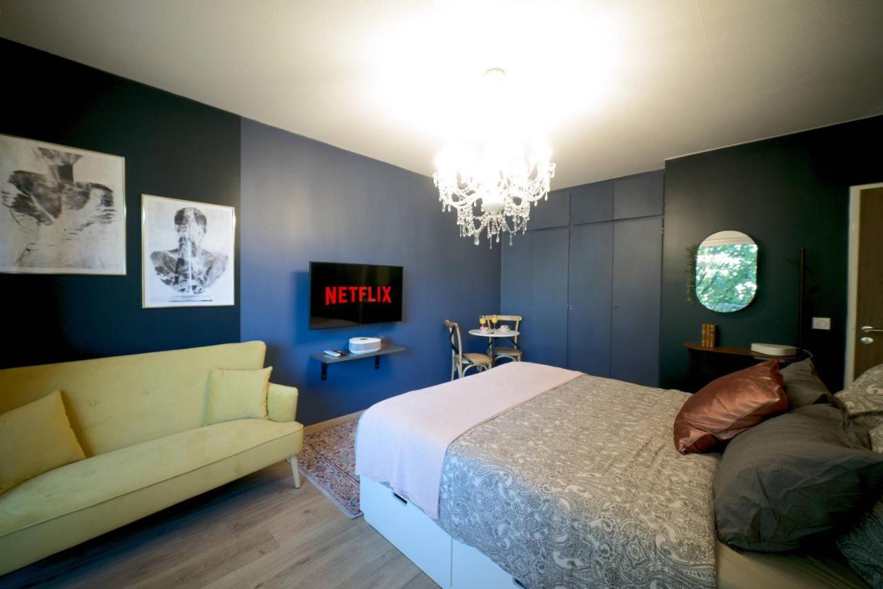 Le Boudoir, Centre Ville, Parking Couvert Inclus Мюлуз Екстериор снимка